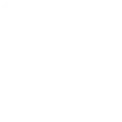 General Motors Logo