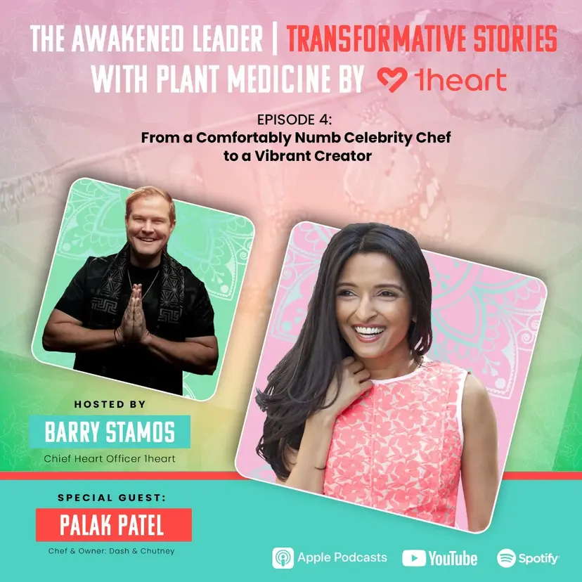 Transformative Stories: Awakened Leader